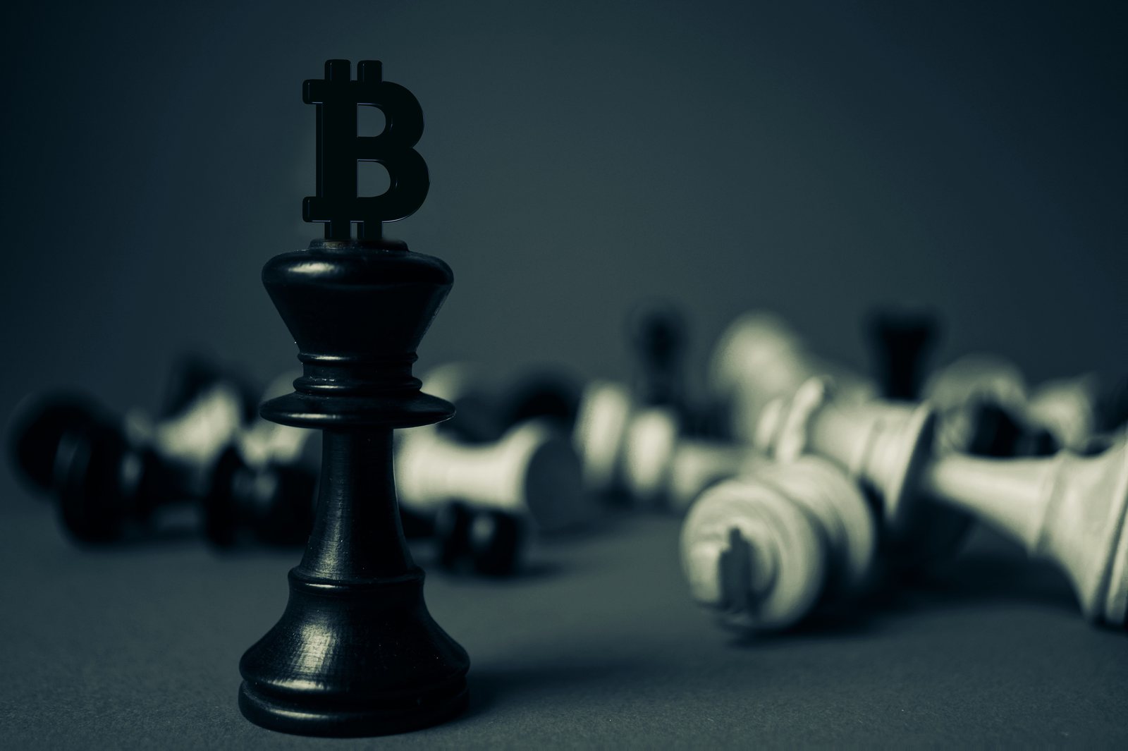 Bitcoin coins held in open hands